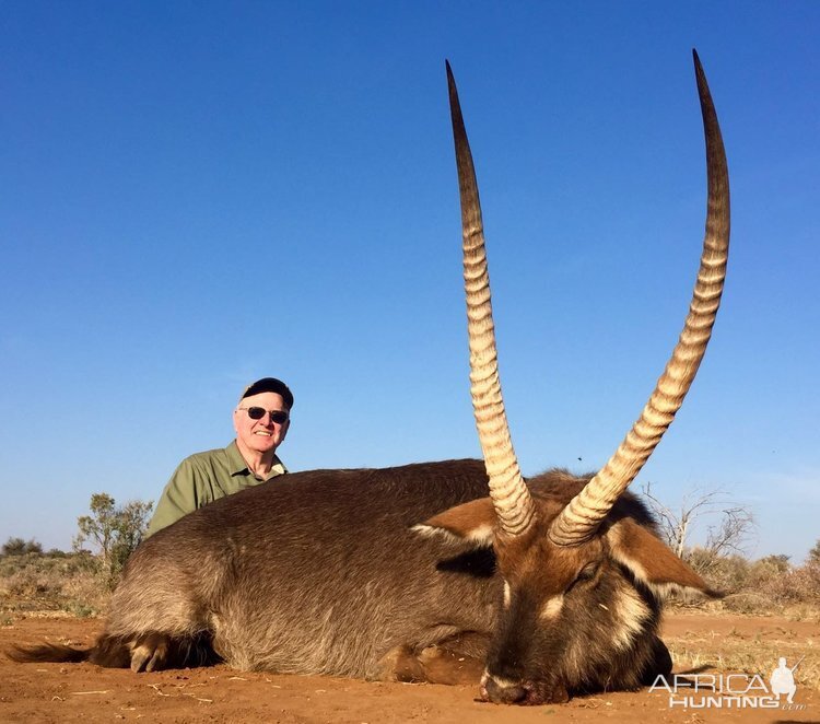 Hunting Waterbuck in South Africa