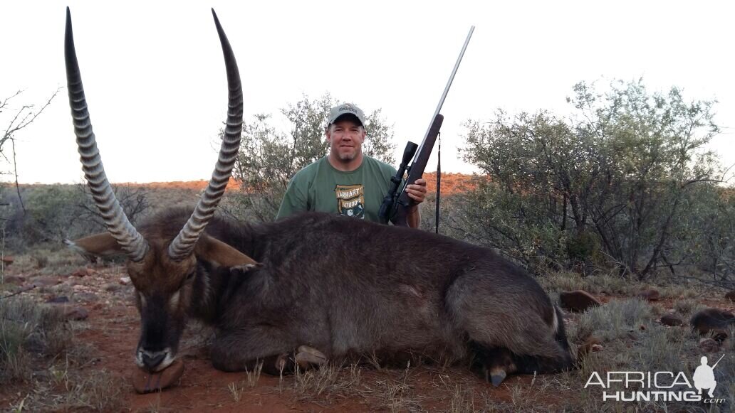 Hunting Waterbuck in South Africa