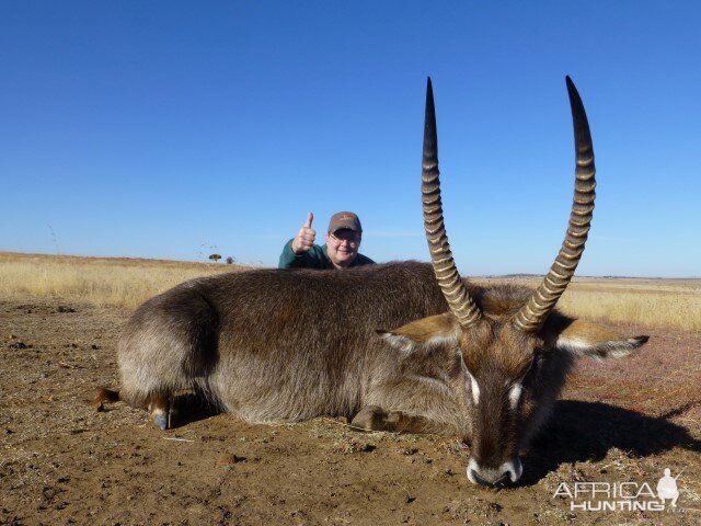 Hunting Waterbuck in South Africa