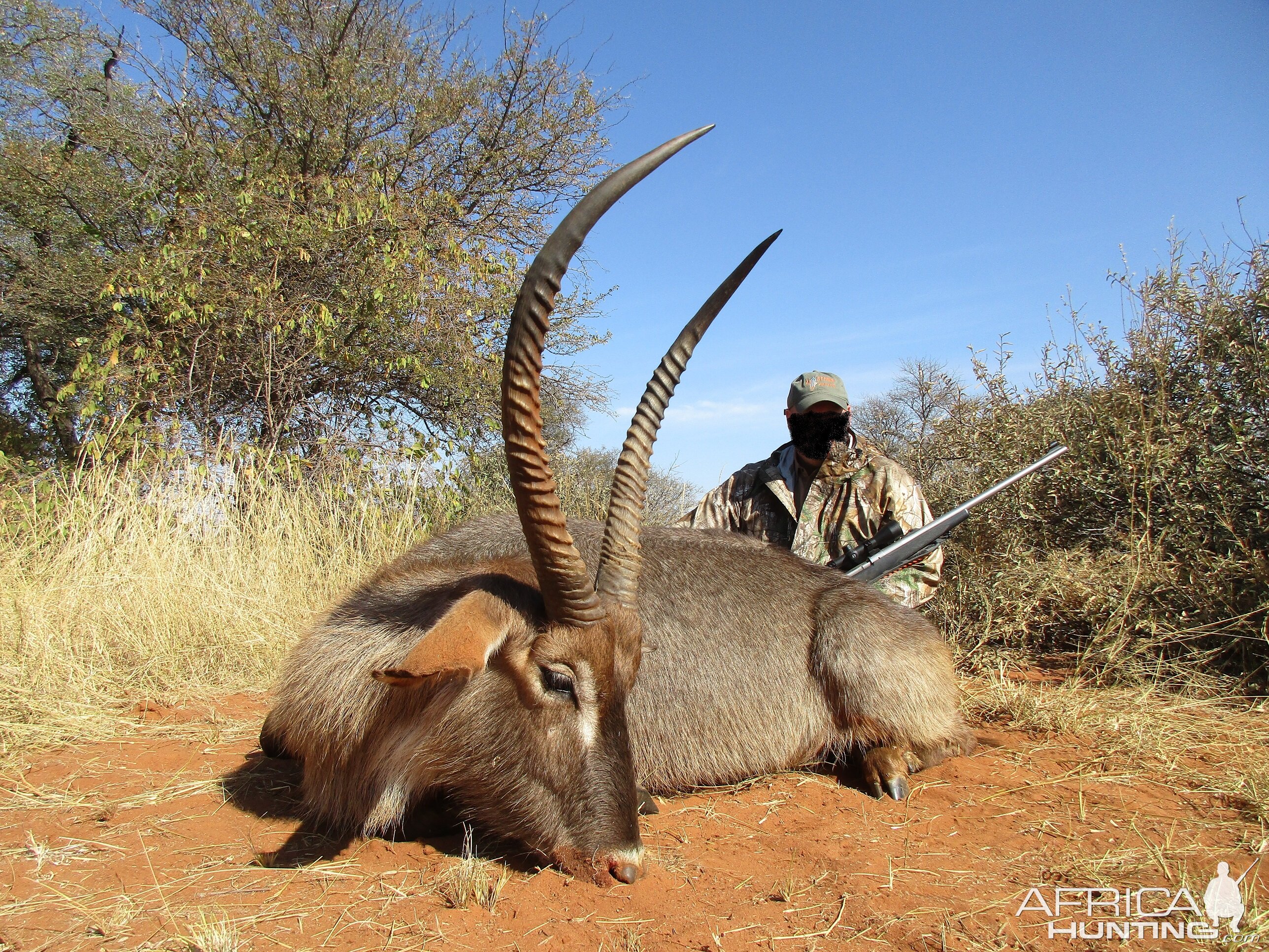 Hunting Waterbuck in South Africa