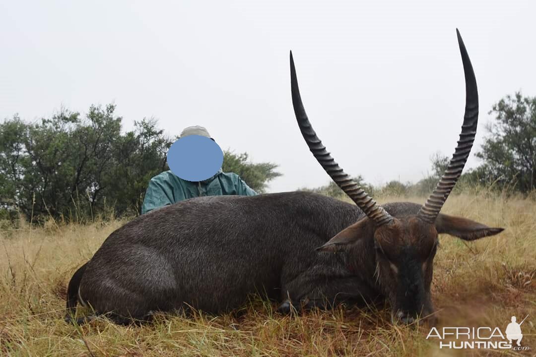 Hunting Waterbuck in South Africa