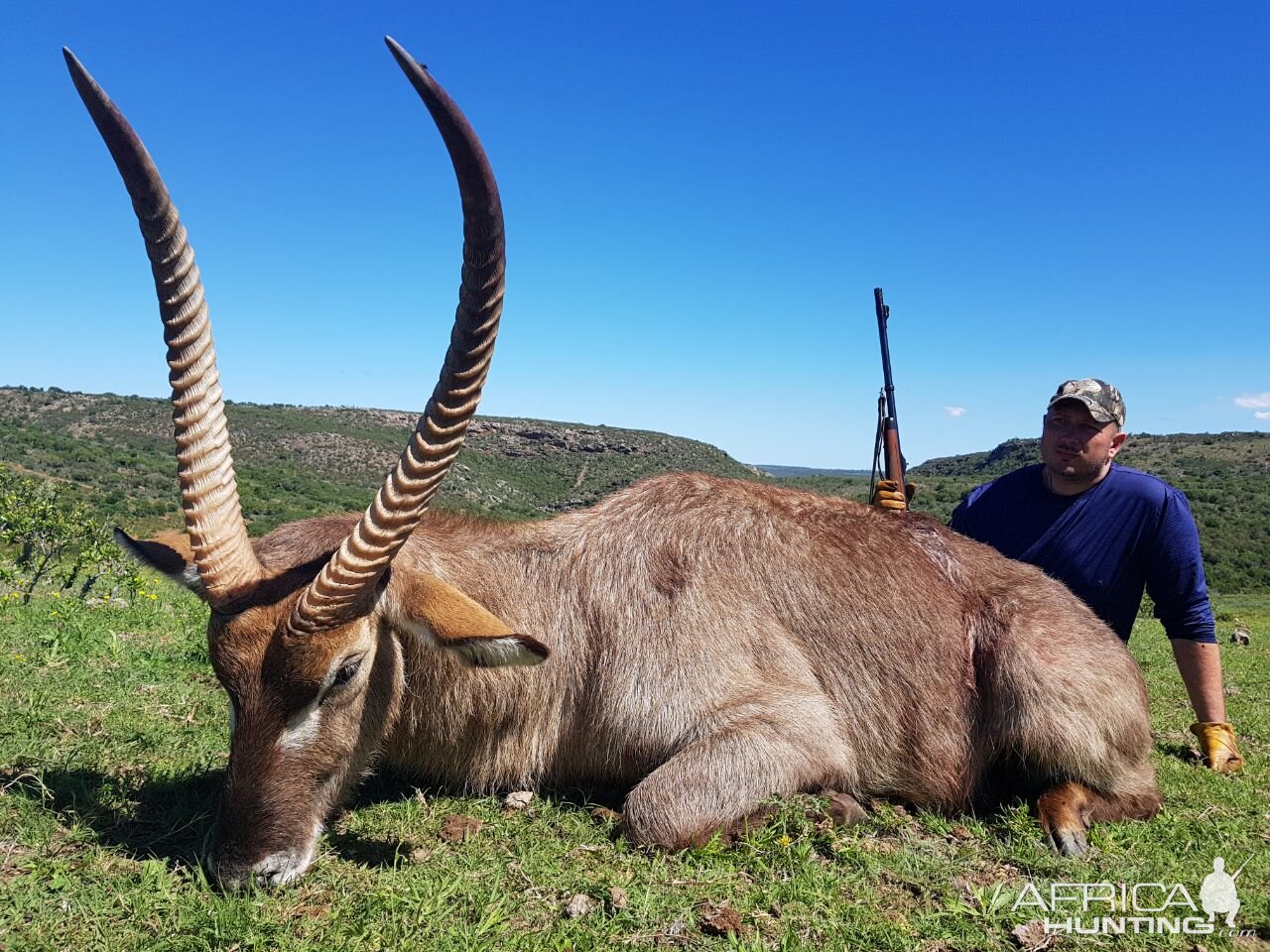 Hunting Waterbuck in South Africa