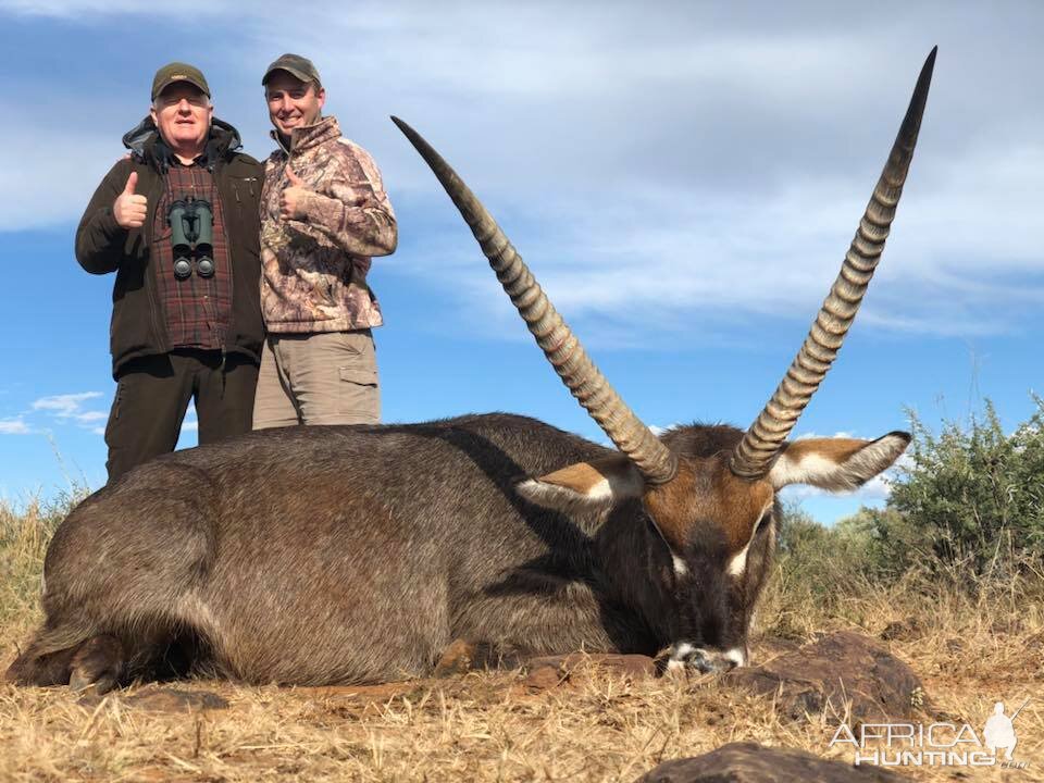 Hunting Waterbuck in South Africa