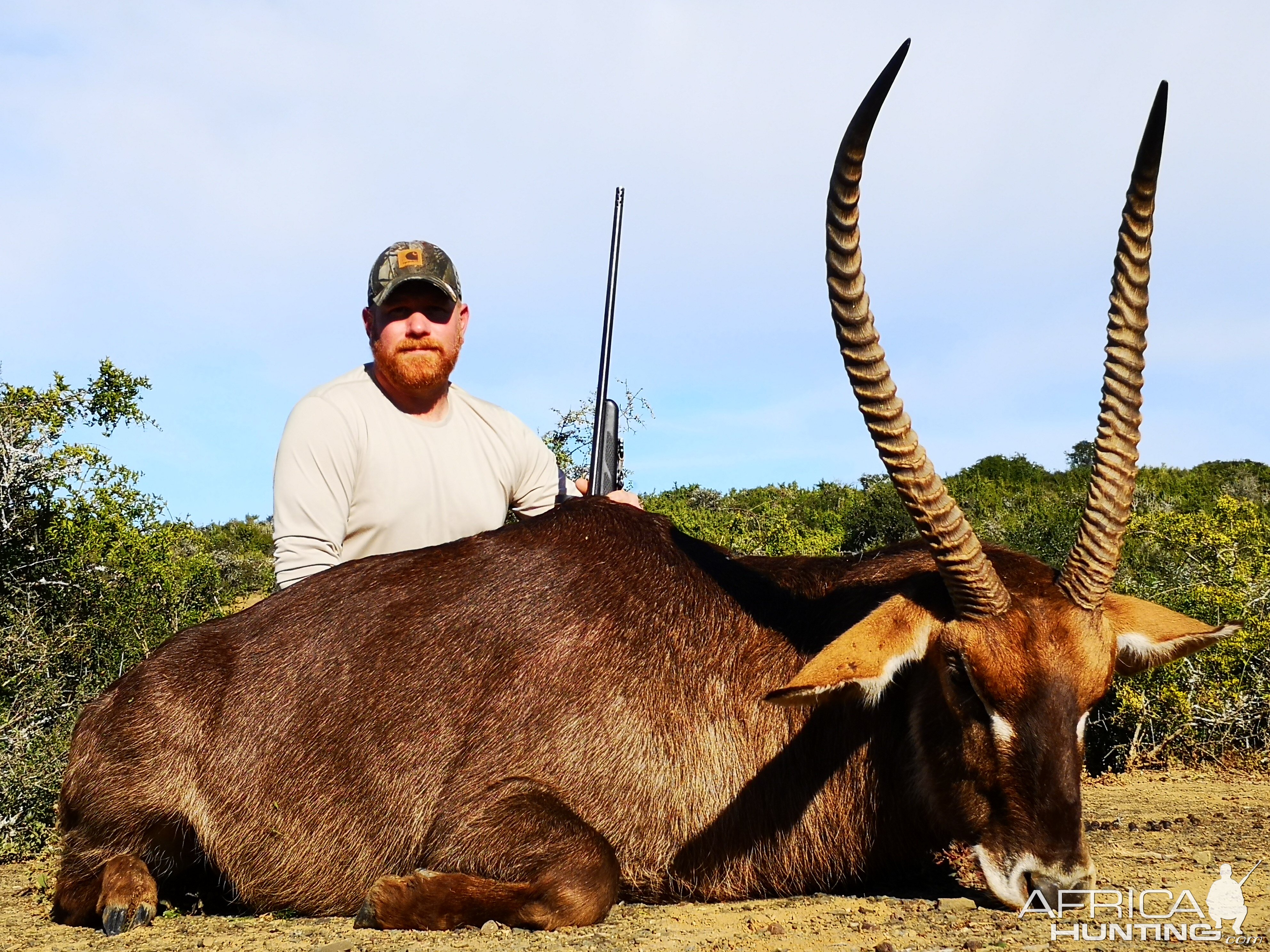 Hunting Waterbuck in South Africa