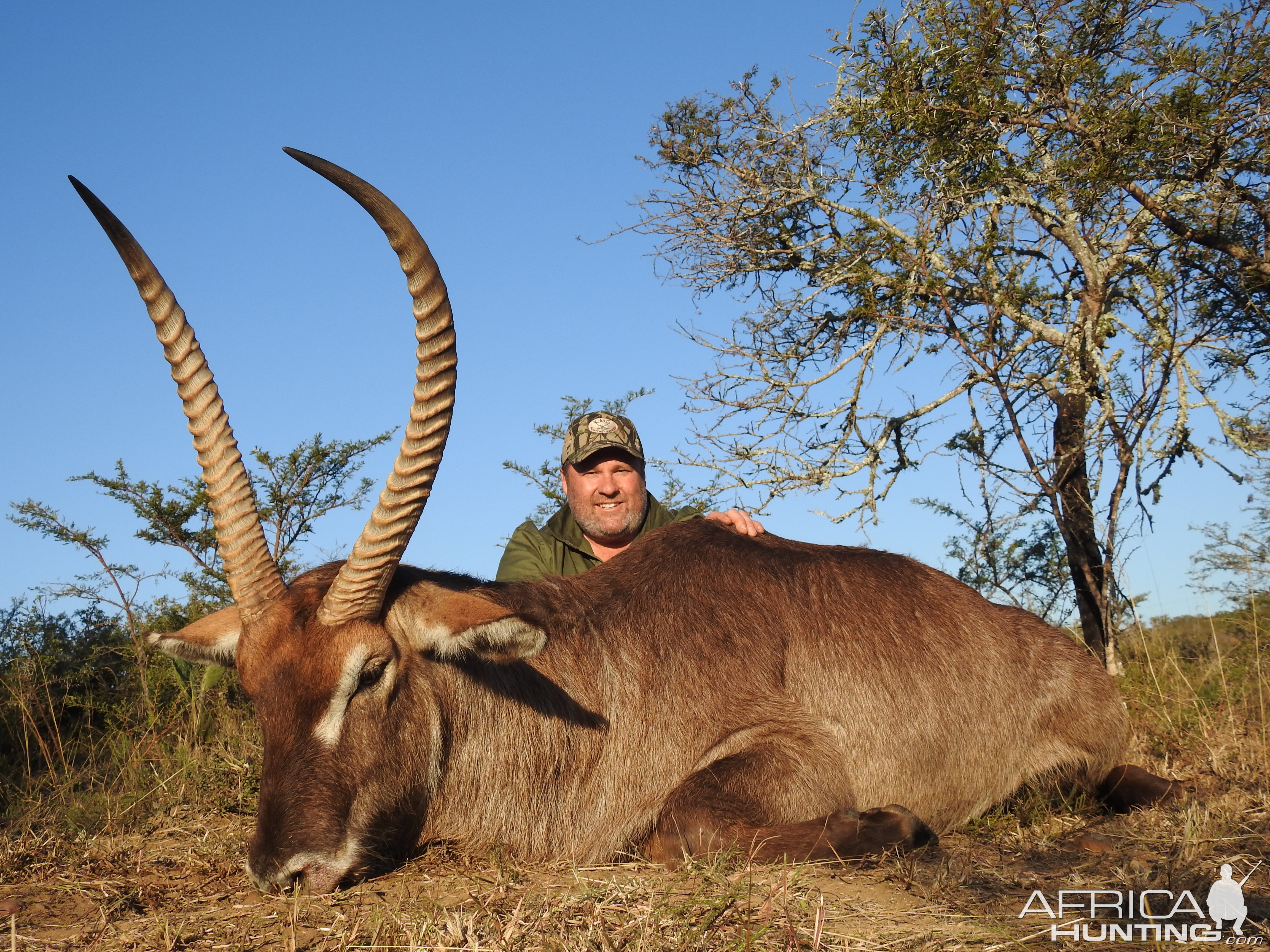 Hunting Waterbuck in South Africa