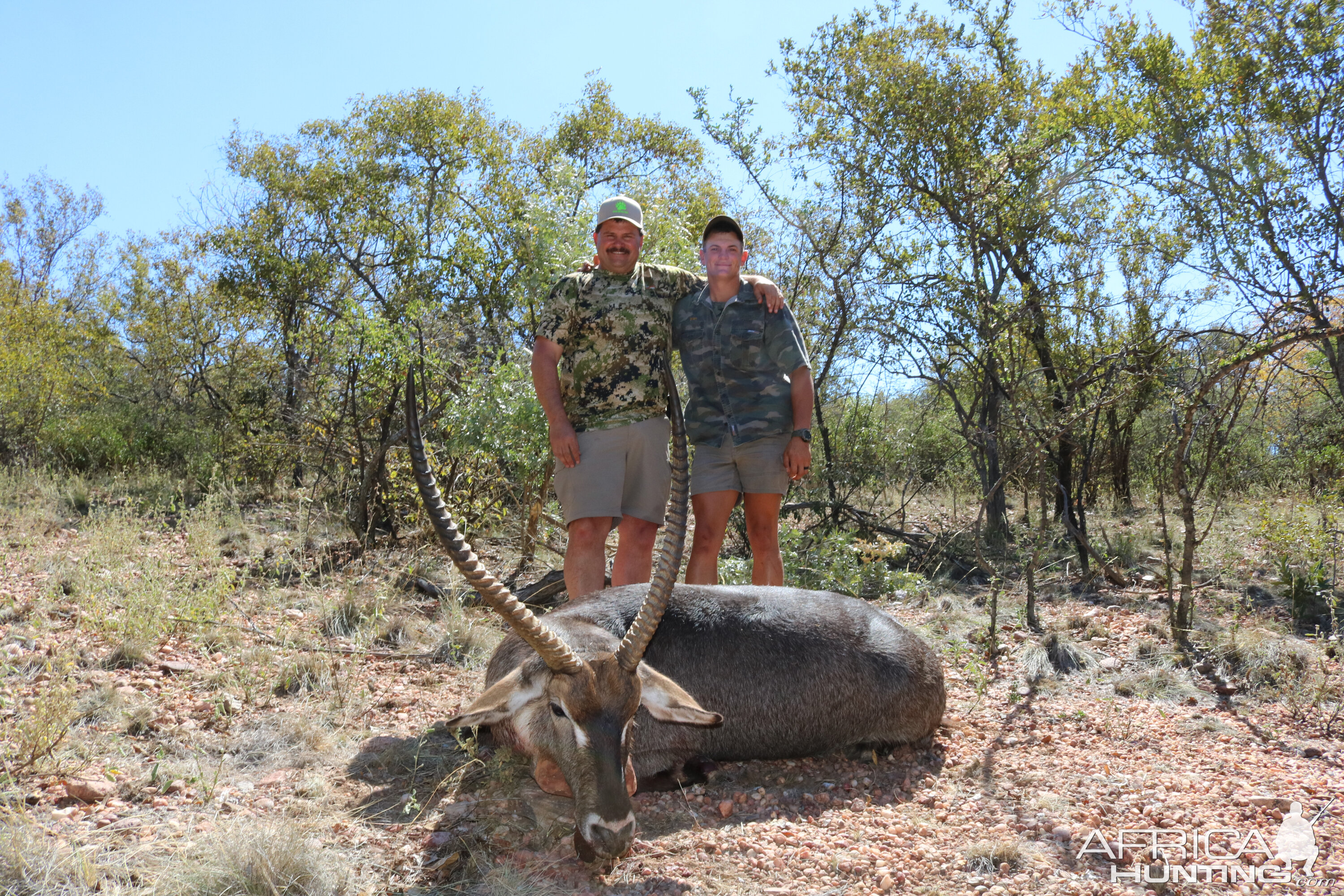 Hunting Waterbuck in South Africa