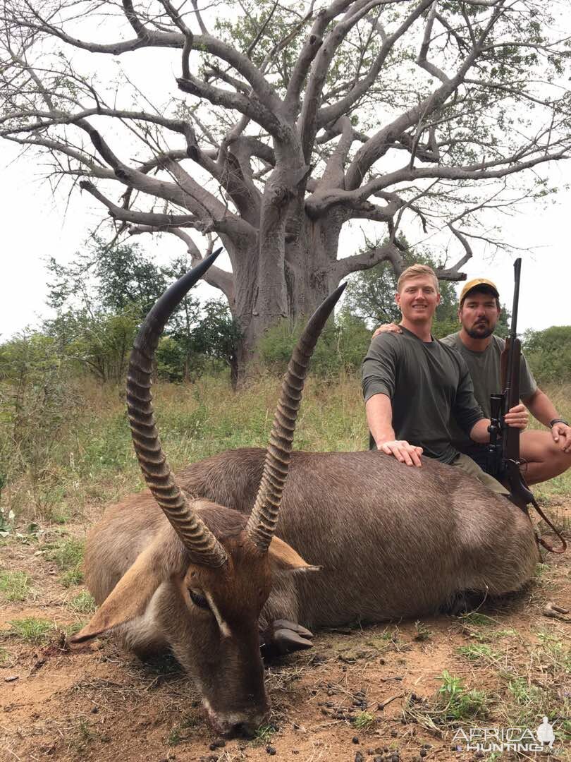 Hunting Waterbuck in Zimbabwe