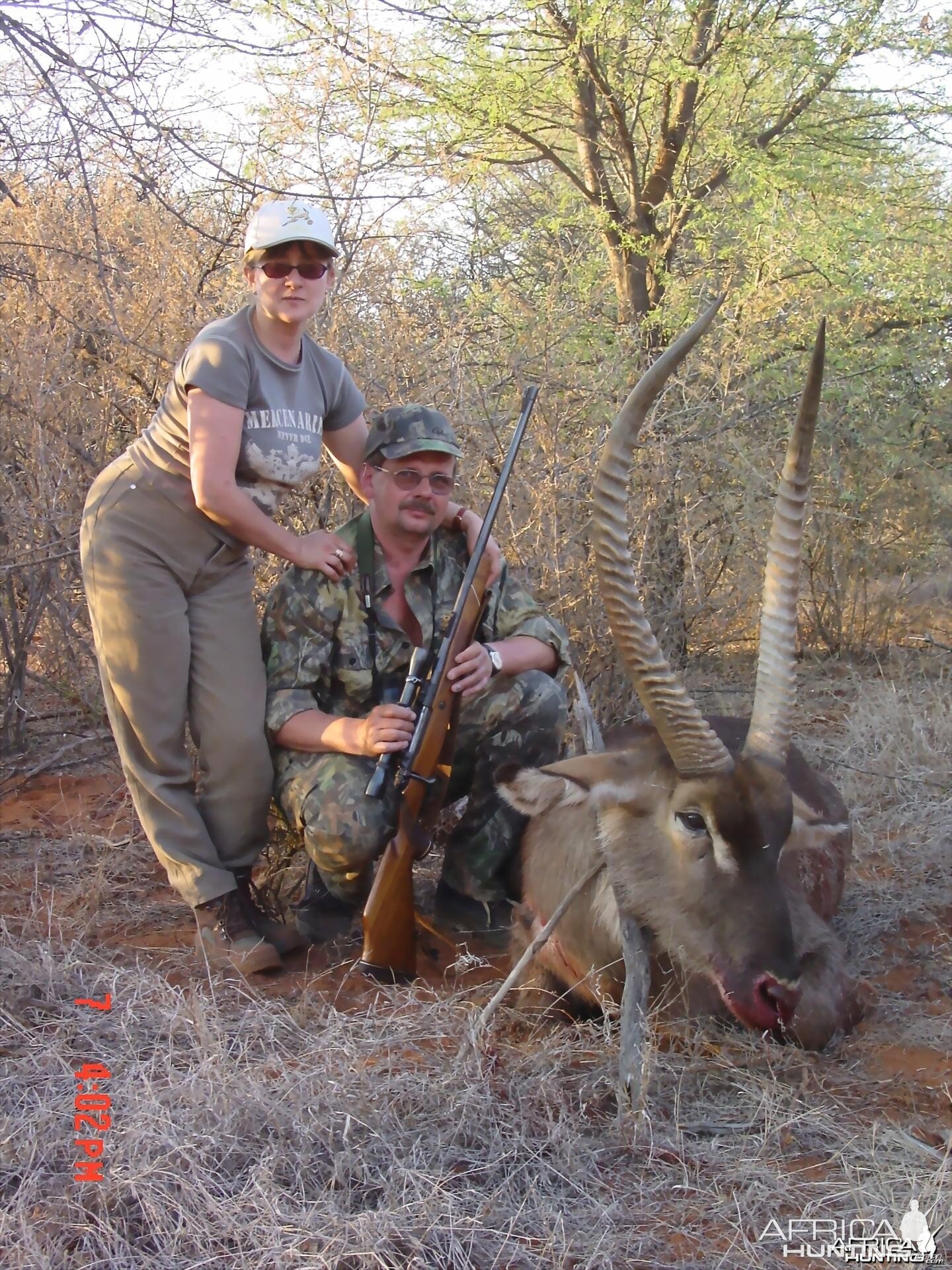 Hunting waterbuck