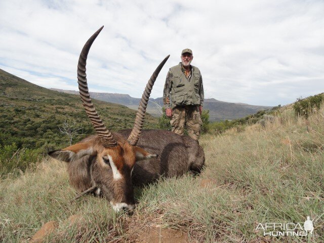 Hunting Waterbuck