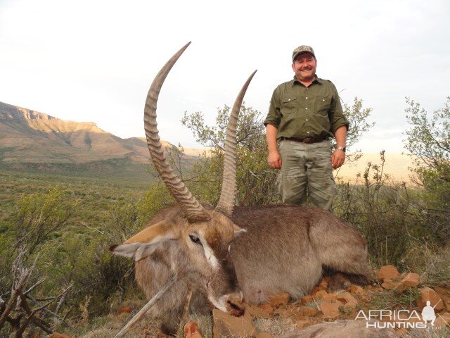 Hunting Waterbuck