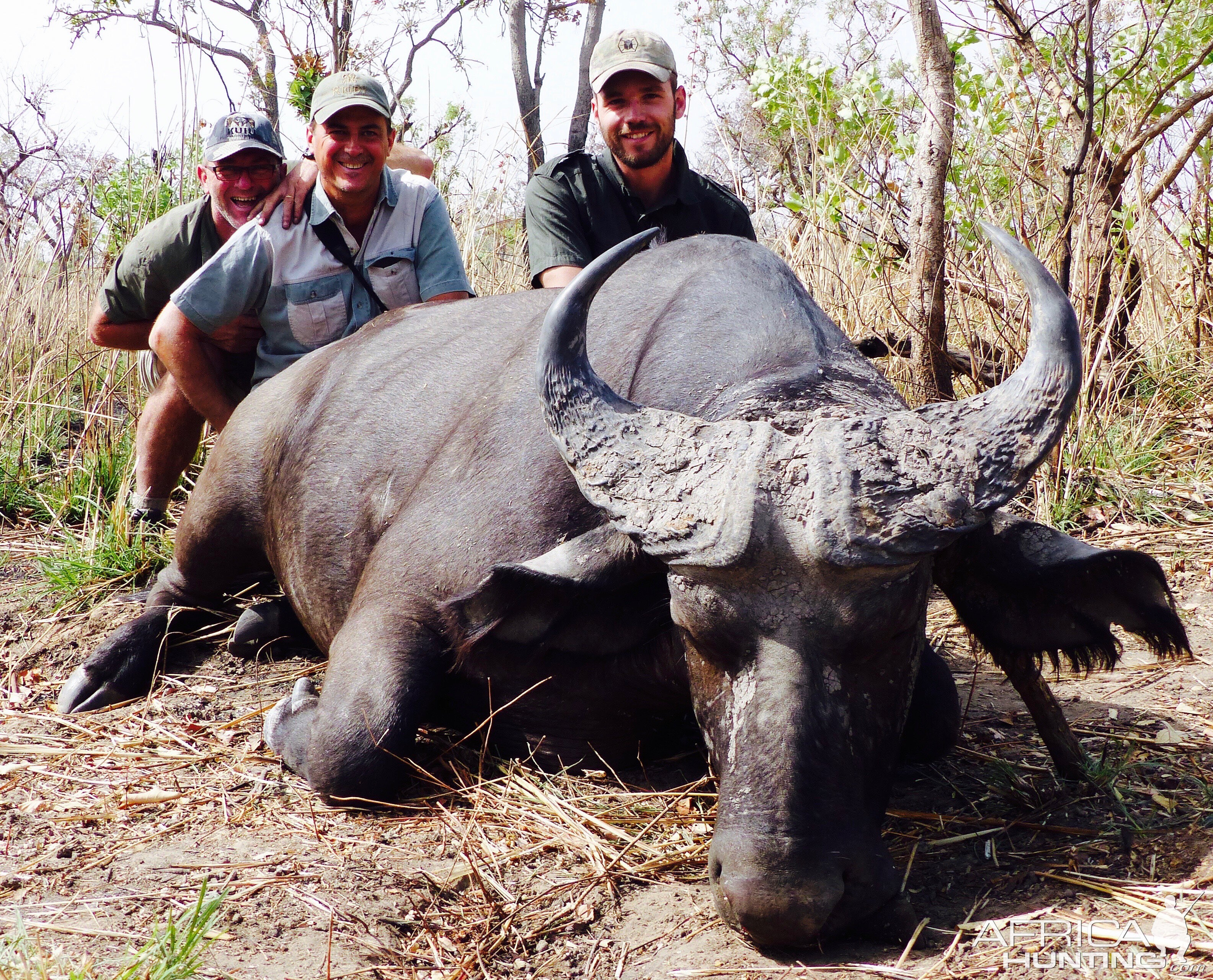 Hunting West African Savanah Buffalo Benin