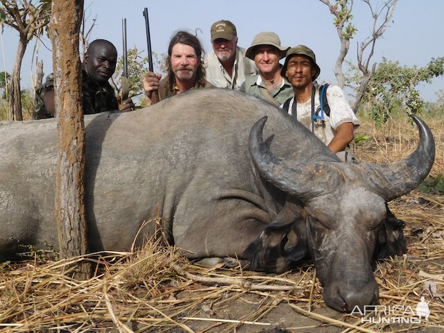 Hunting West African Savanna Buffalo Burkina Faso