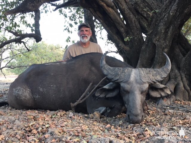 Hunting West African Savanna Buffalo in Burkina Faso