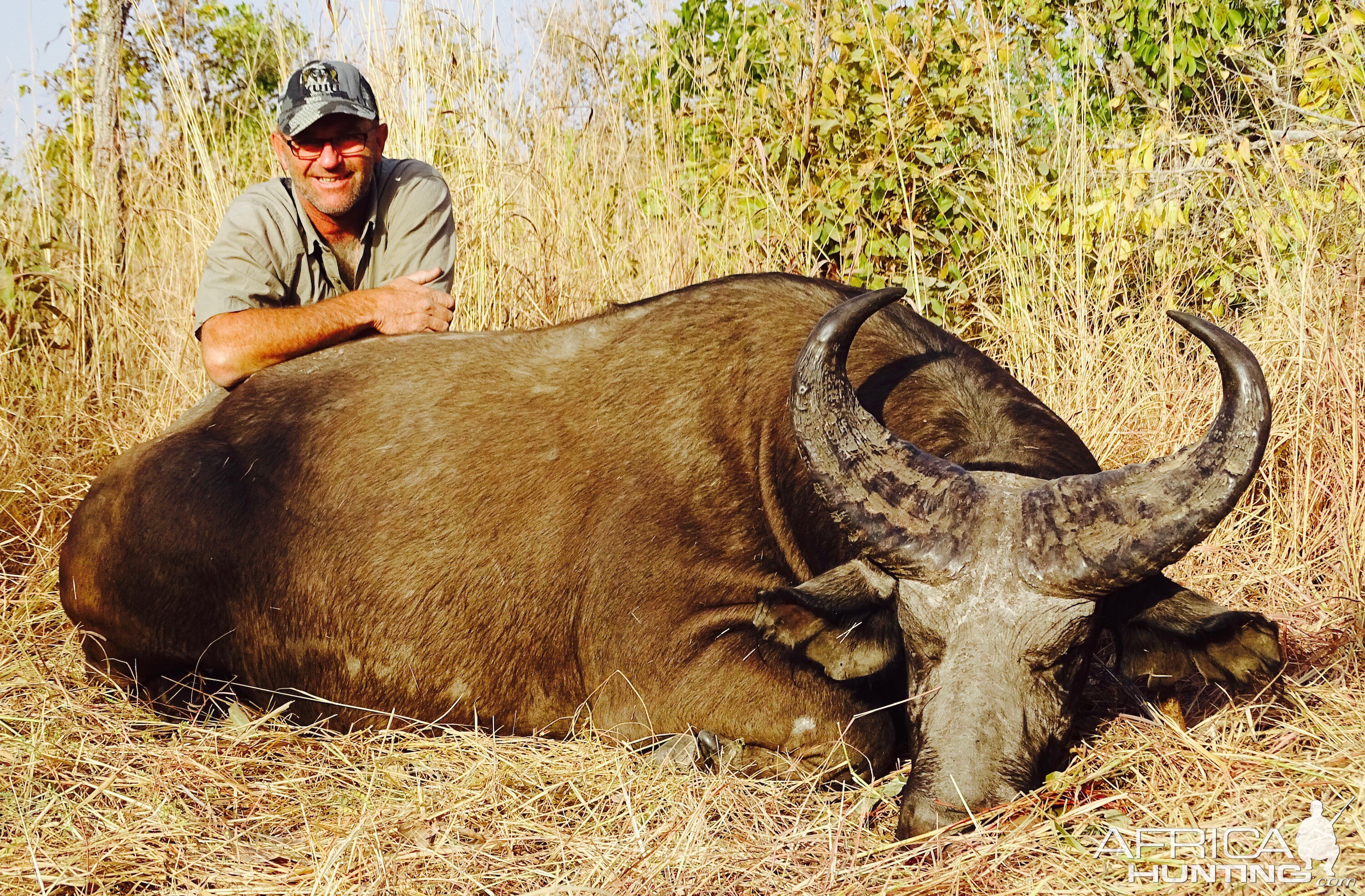 Hunting West African Savannah Buffalo Benin