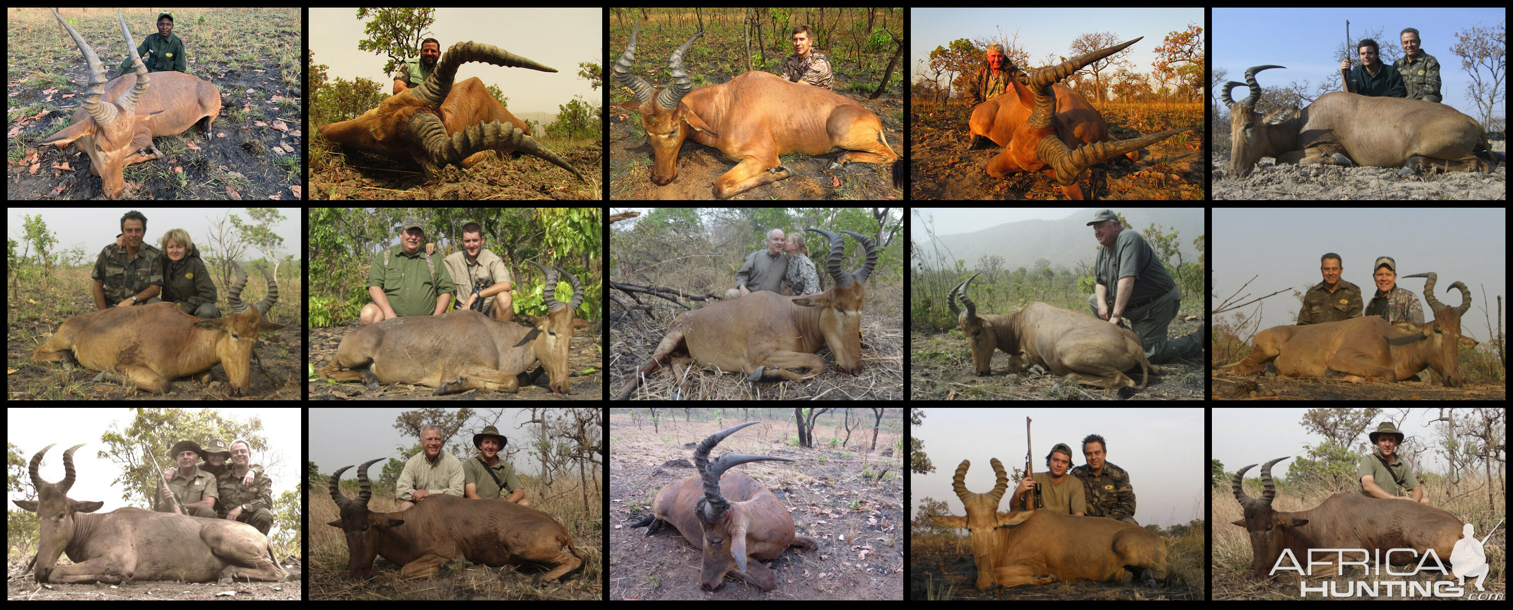 Hunting Western Hartebeest in Cameroon