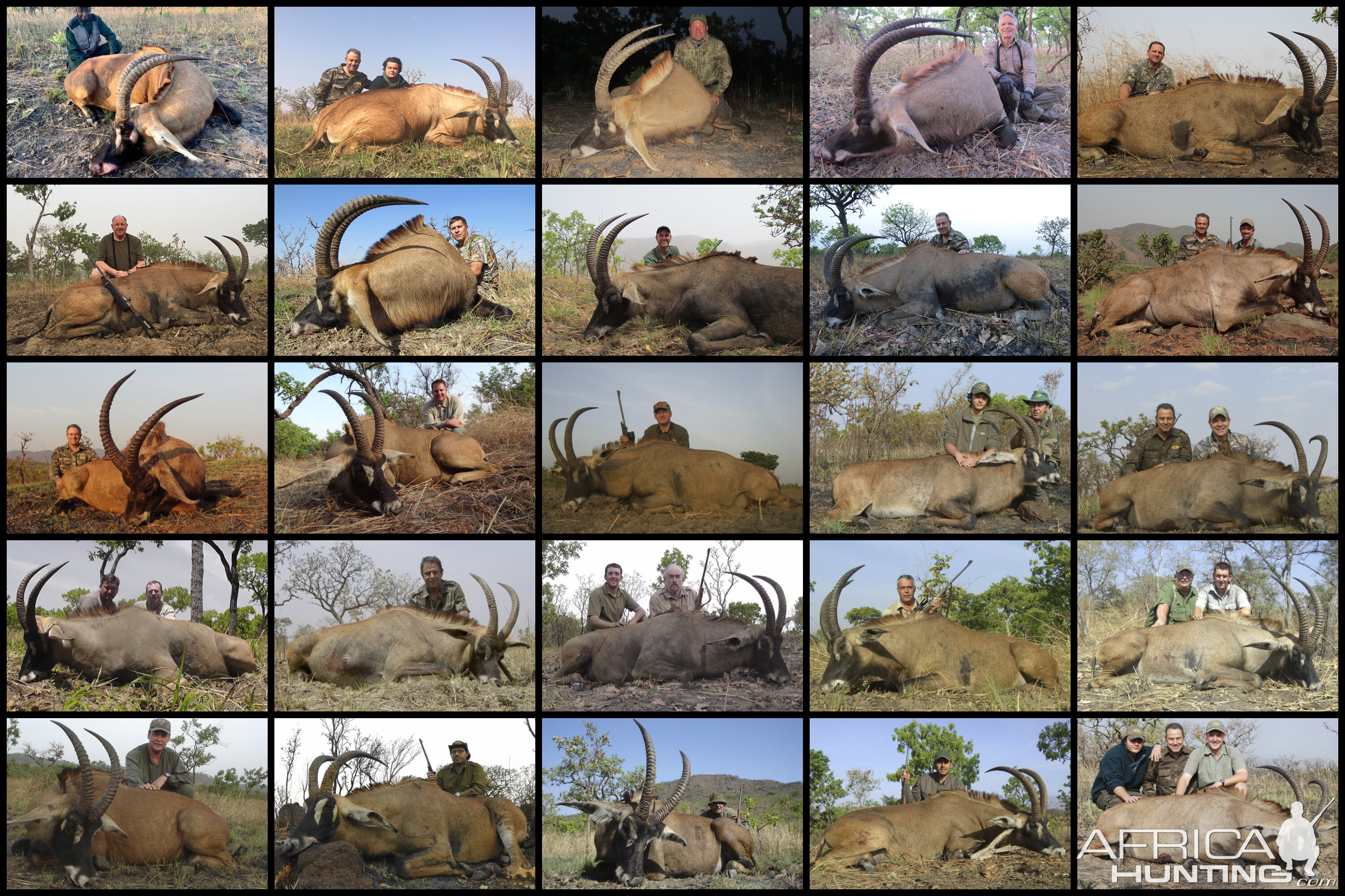 Hunting Western Roan in Cameroon