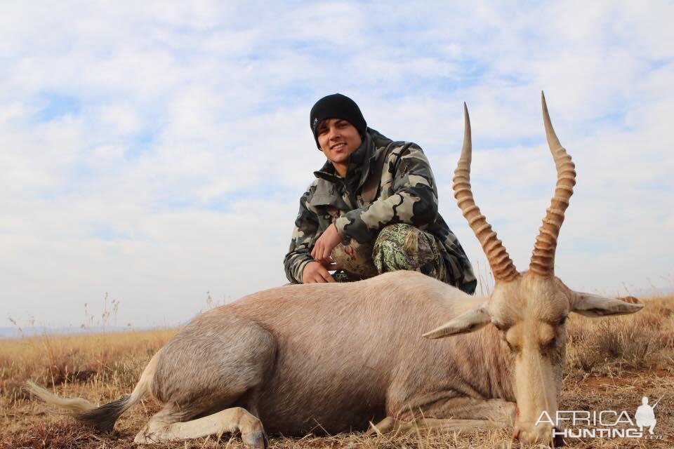 Hunting White Blesbok in South Africa