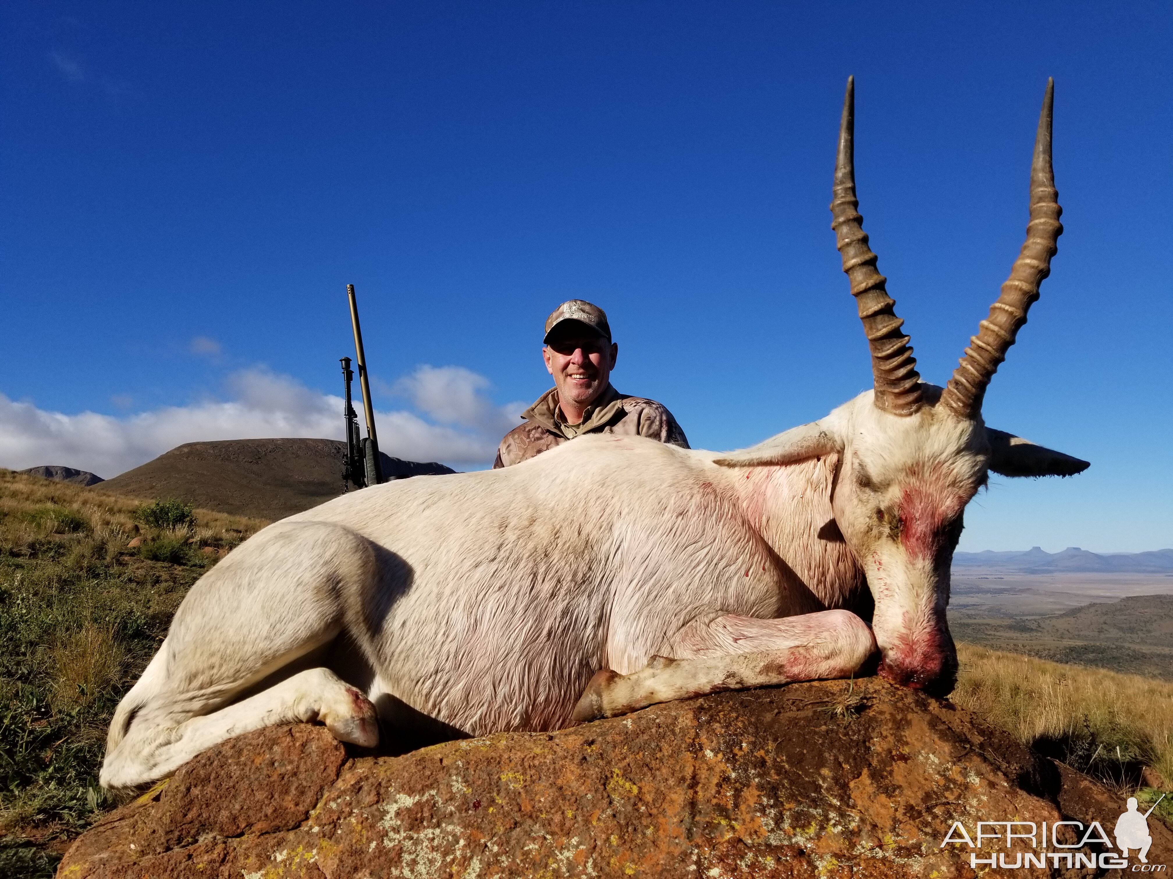 Hunting White Blesbok in South Africa