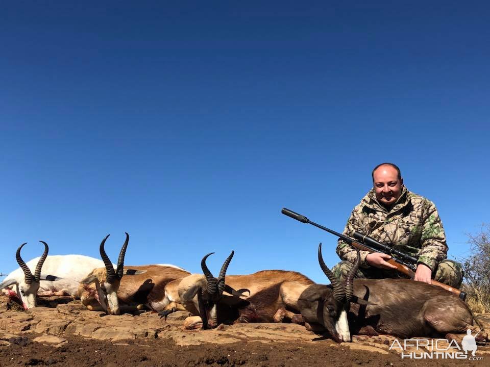 Hunting White, Common, Copper & Black Springbok in South Africa