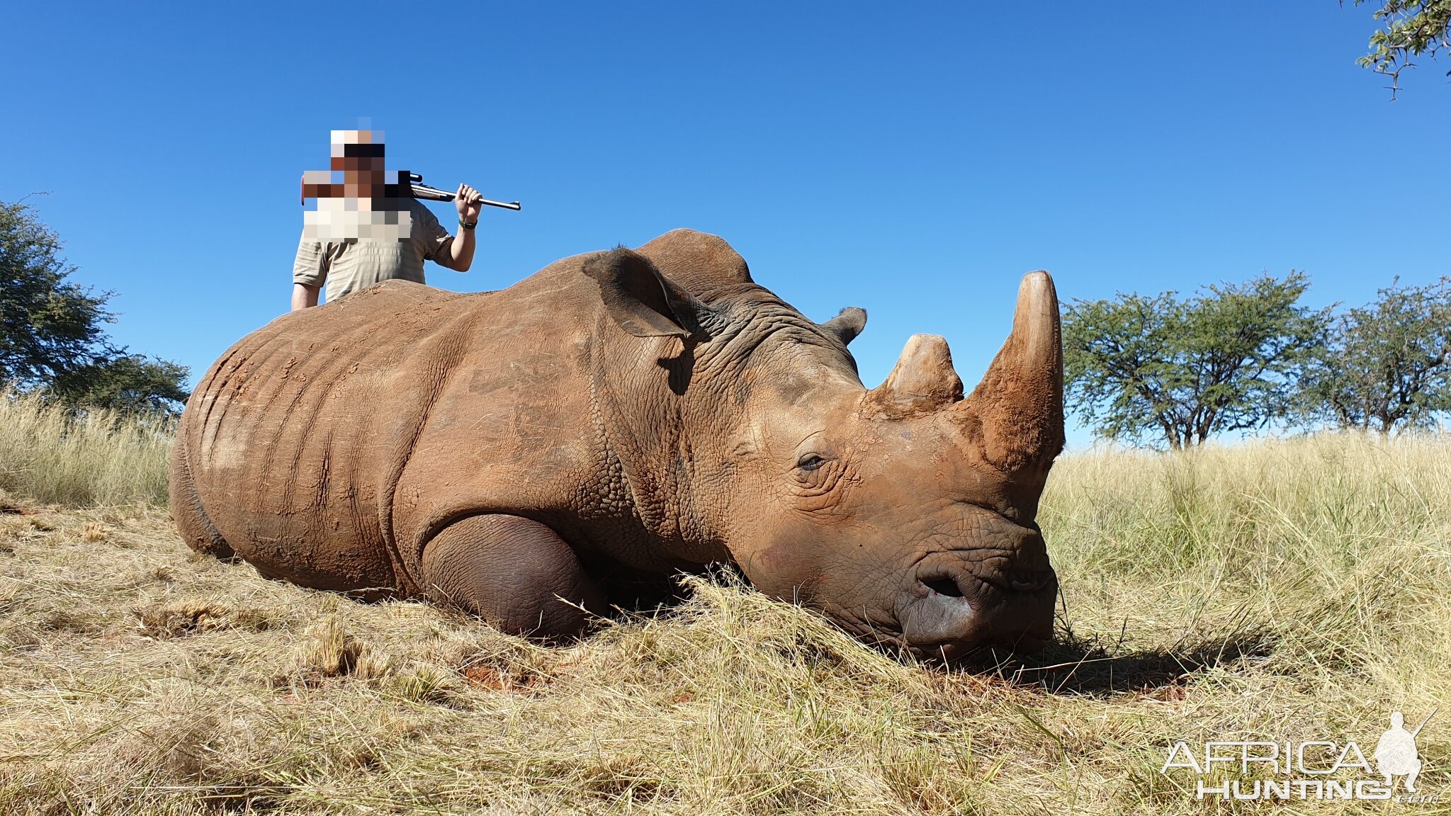 Hunting White Rhino