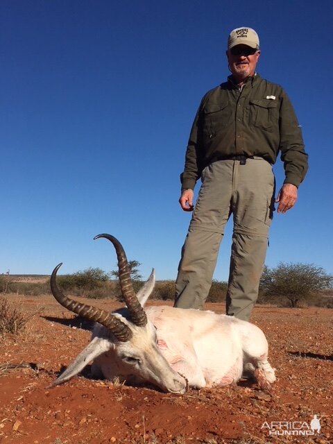 Hunting White Springbok in South Africa