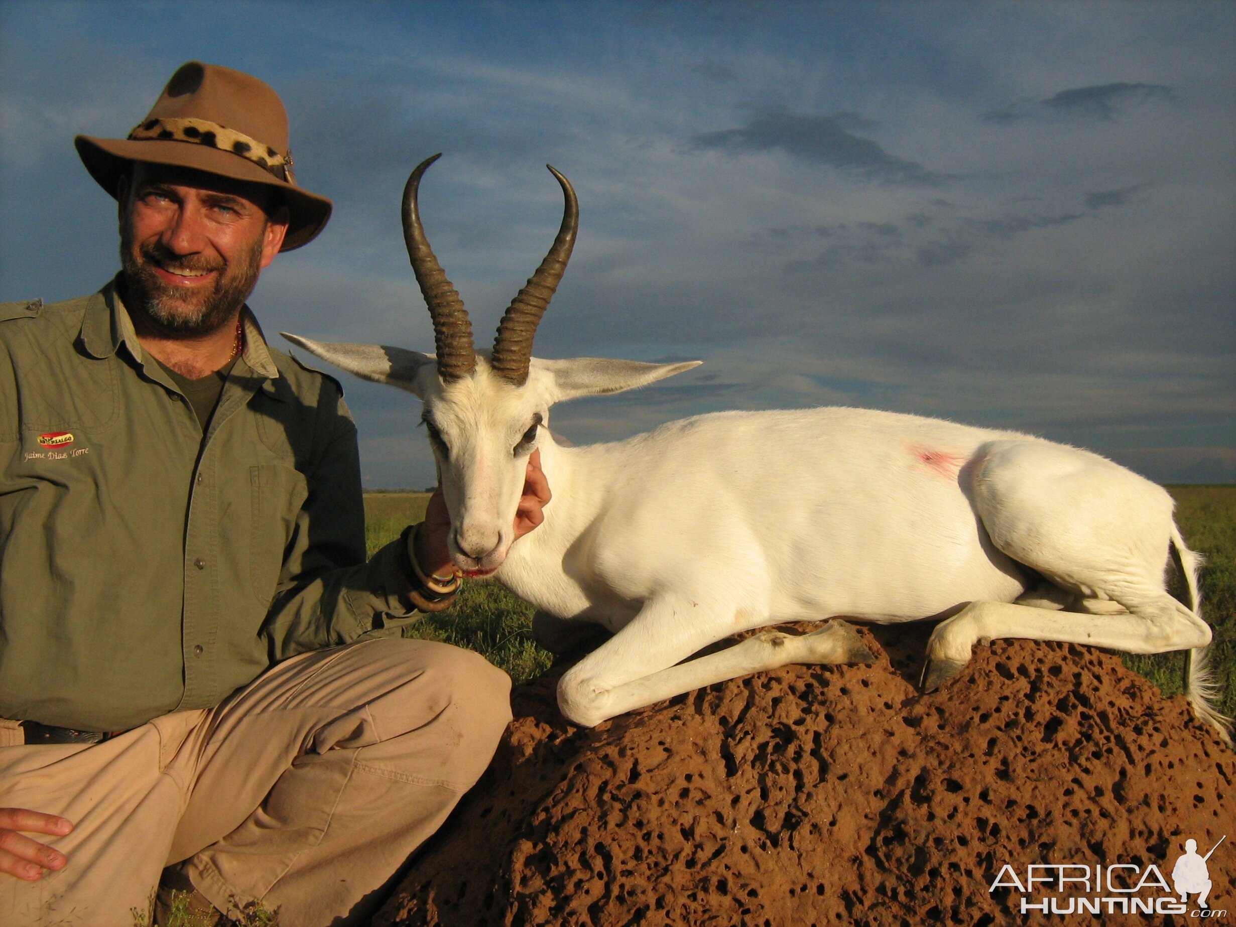 Hunting White Springbuck with Wintershoek Johnny Vivier Safaris in SA