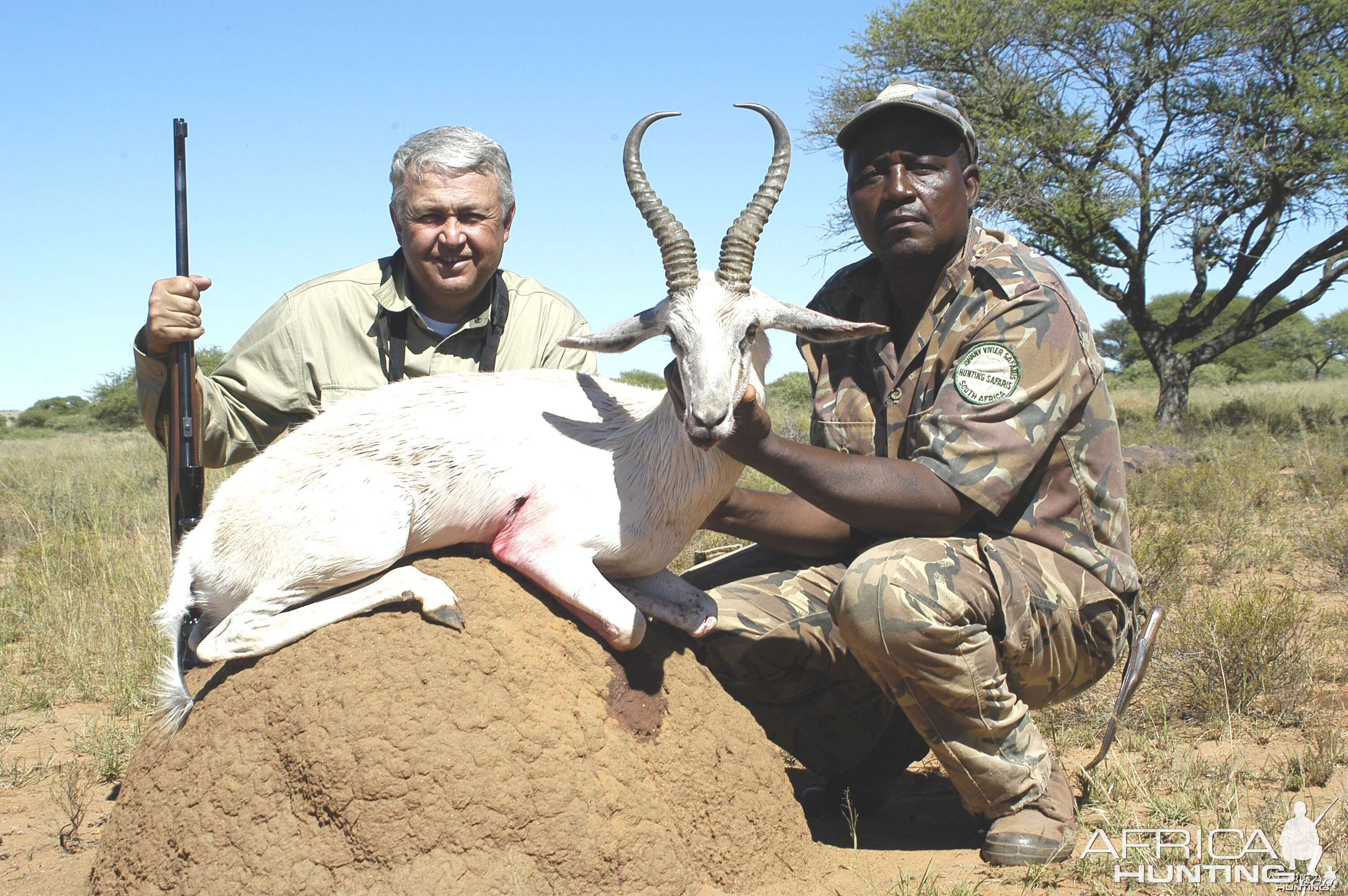 Hunting White Springbuck with Wintershoek Johnny Vivier Safaris in SA