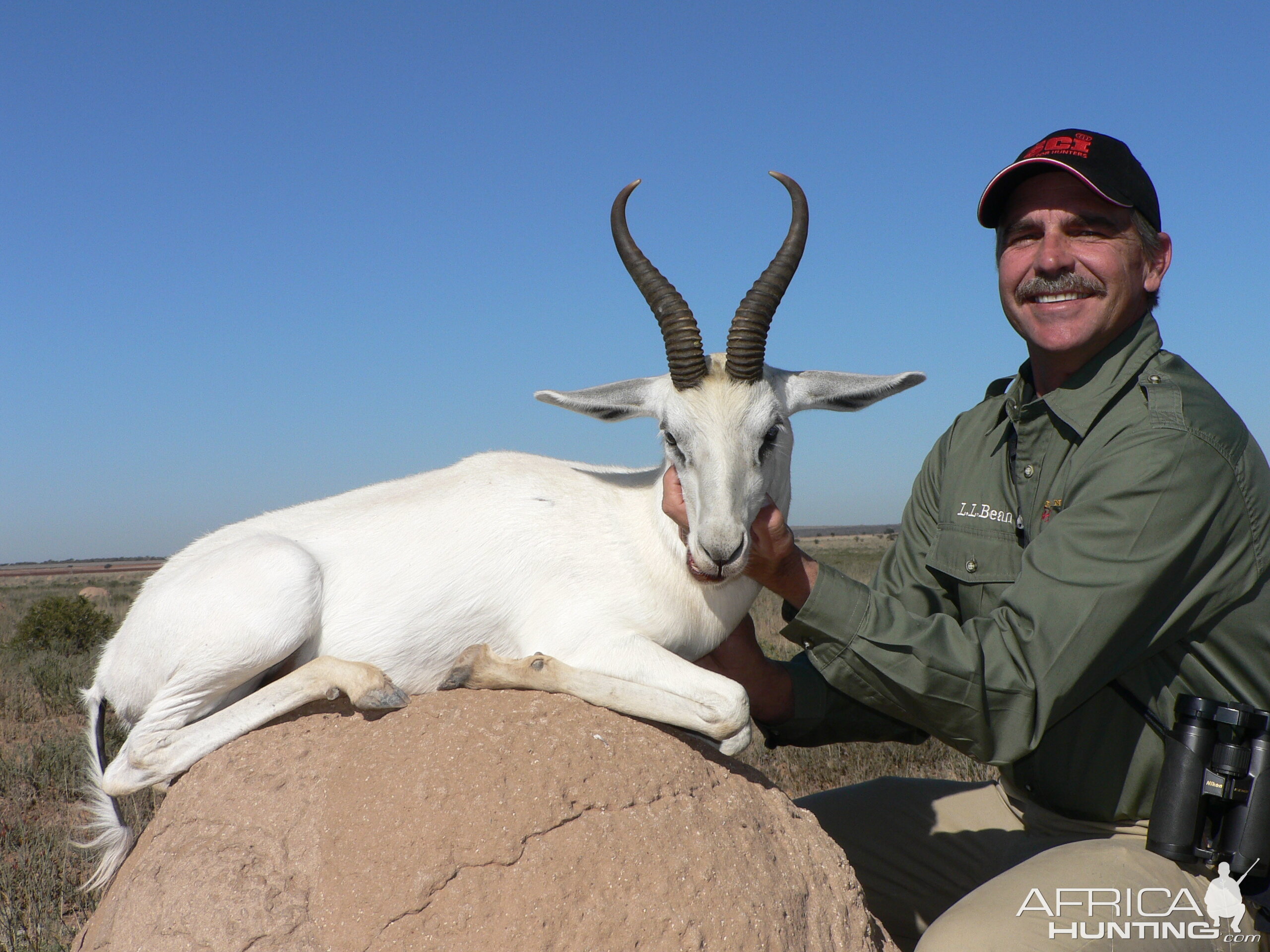 Hunting White Springbuck with Wintershoek Johnny Vivier Safaris in SA