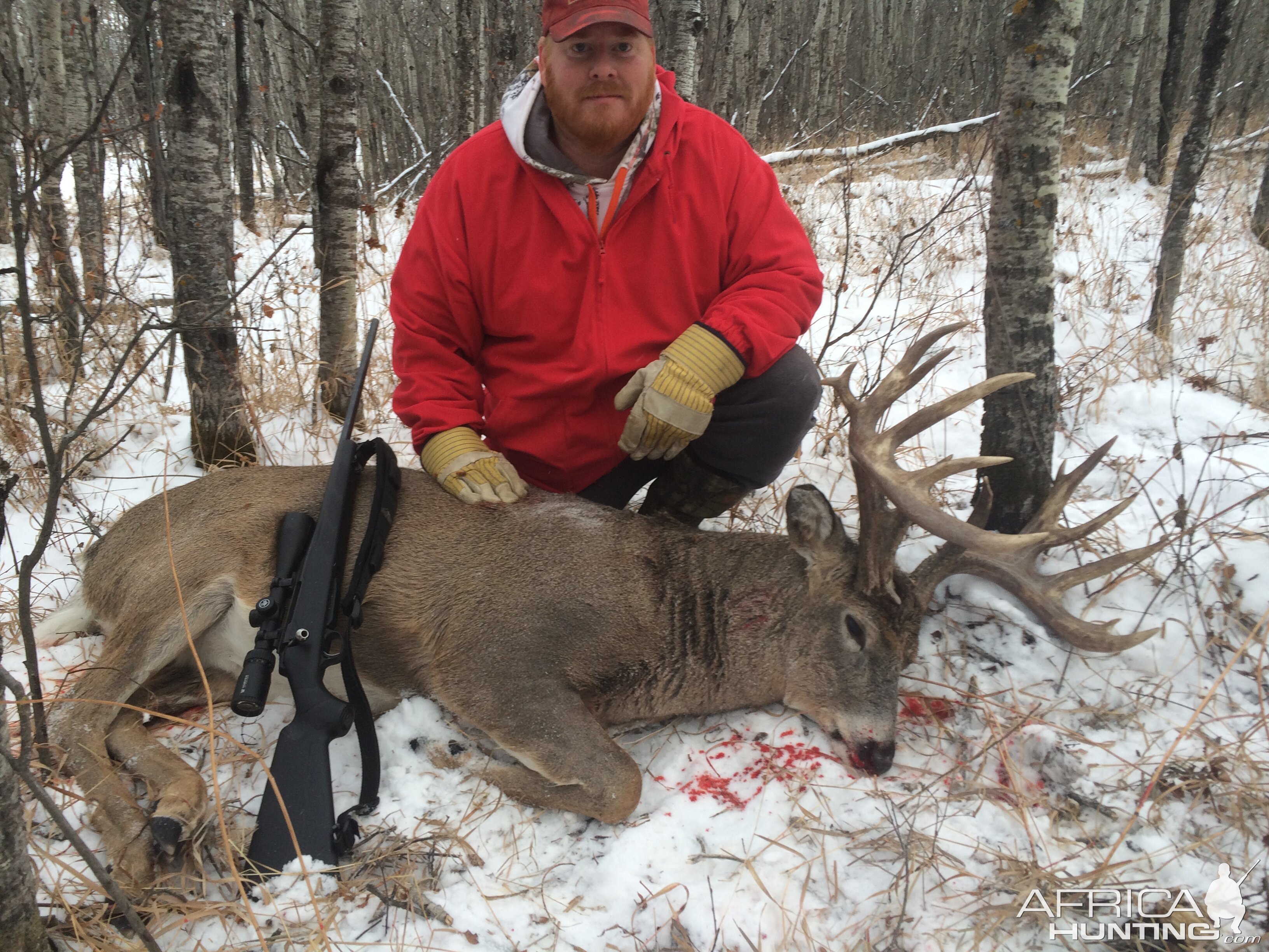 Hunting Whitetail Deer in Canada