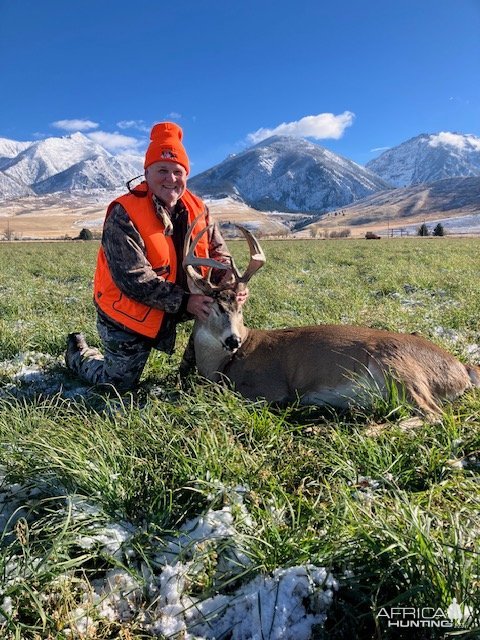 Hunting Whitetail Deer Montana