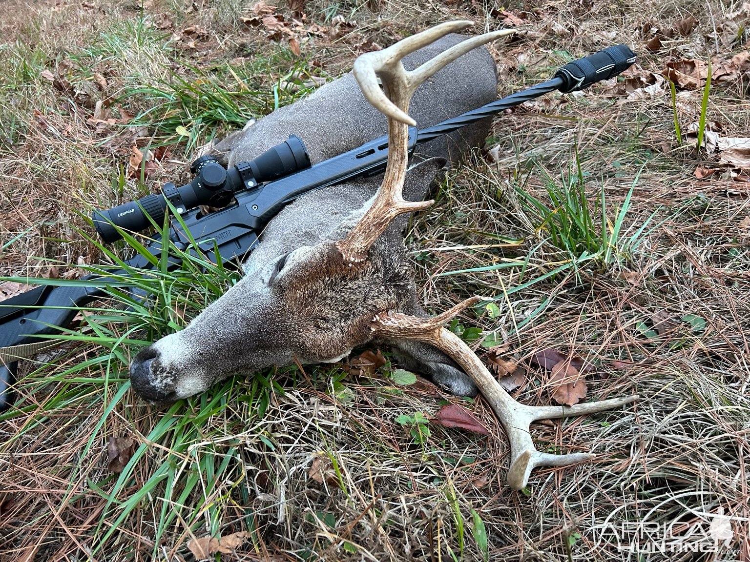 Hunting Whitetail Deer