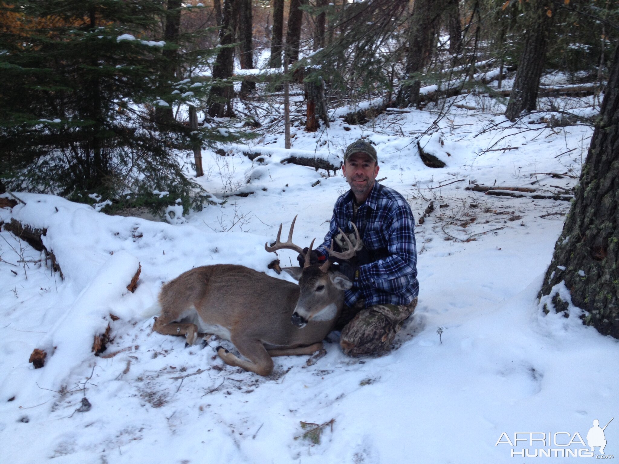 Hunting Whitetail Deer