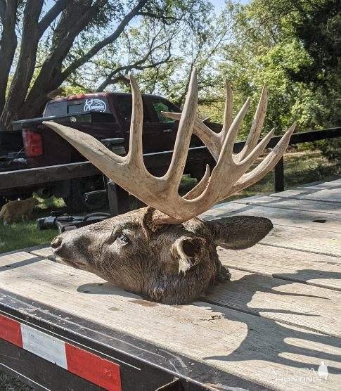 Hunting Whitetail Nebraska