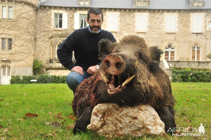 Hunting Wild Boar France