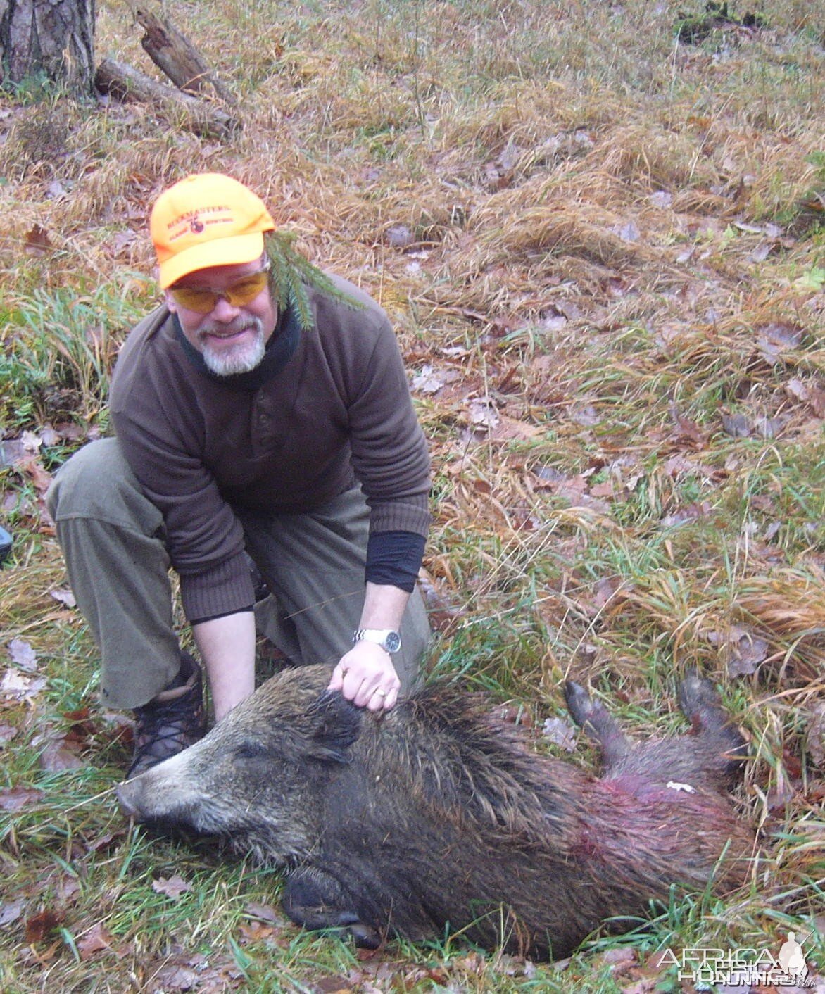 Hunting Wild Boar