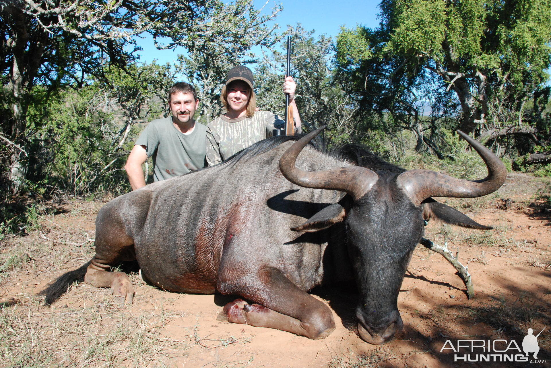 Hunting Wildebeest