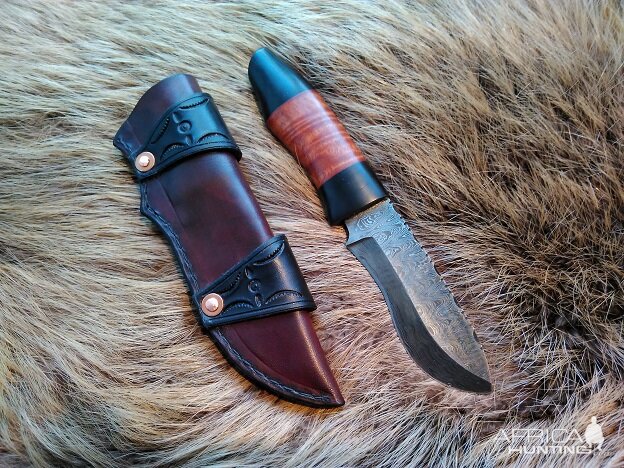 Hunting with Buffalo Horn