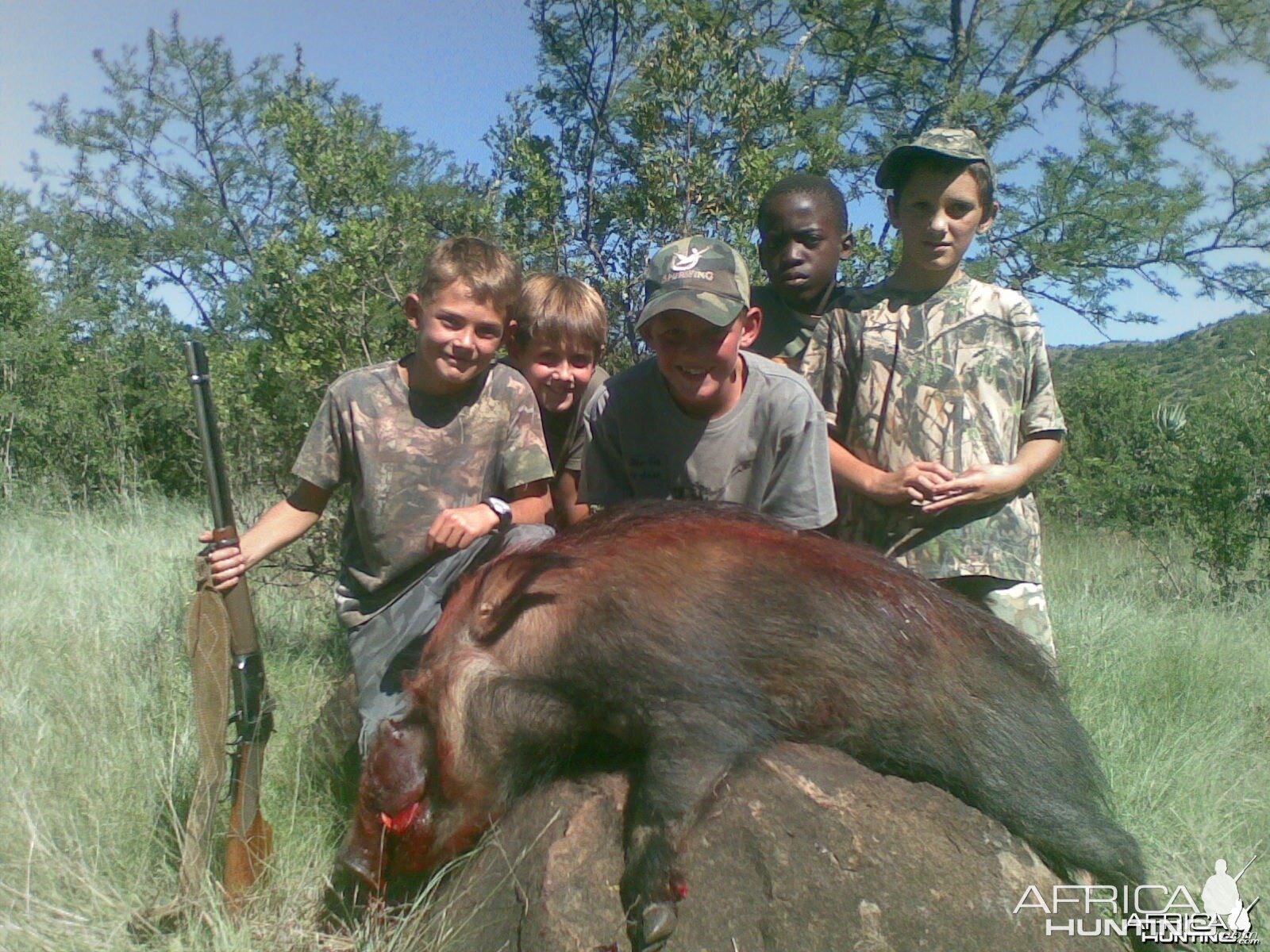 Hunting with Hounds - we can give you " THE WHOLE HOG "