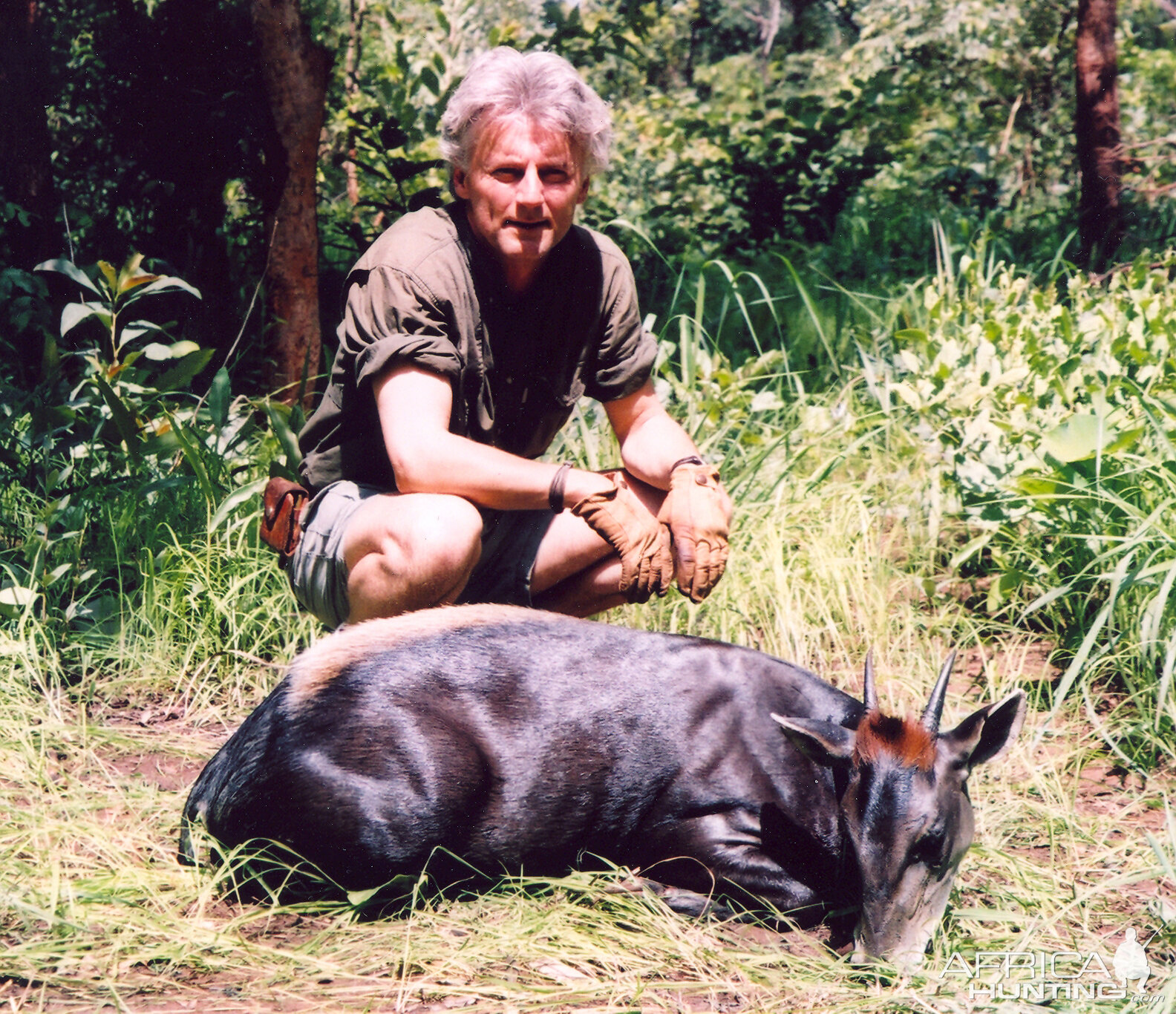 Hunting Yellow Back Duiker in CAR with Rudy Lubin Safaris