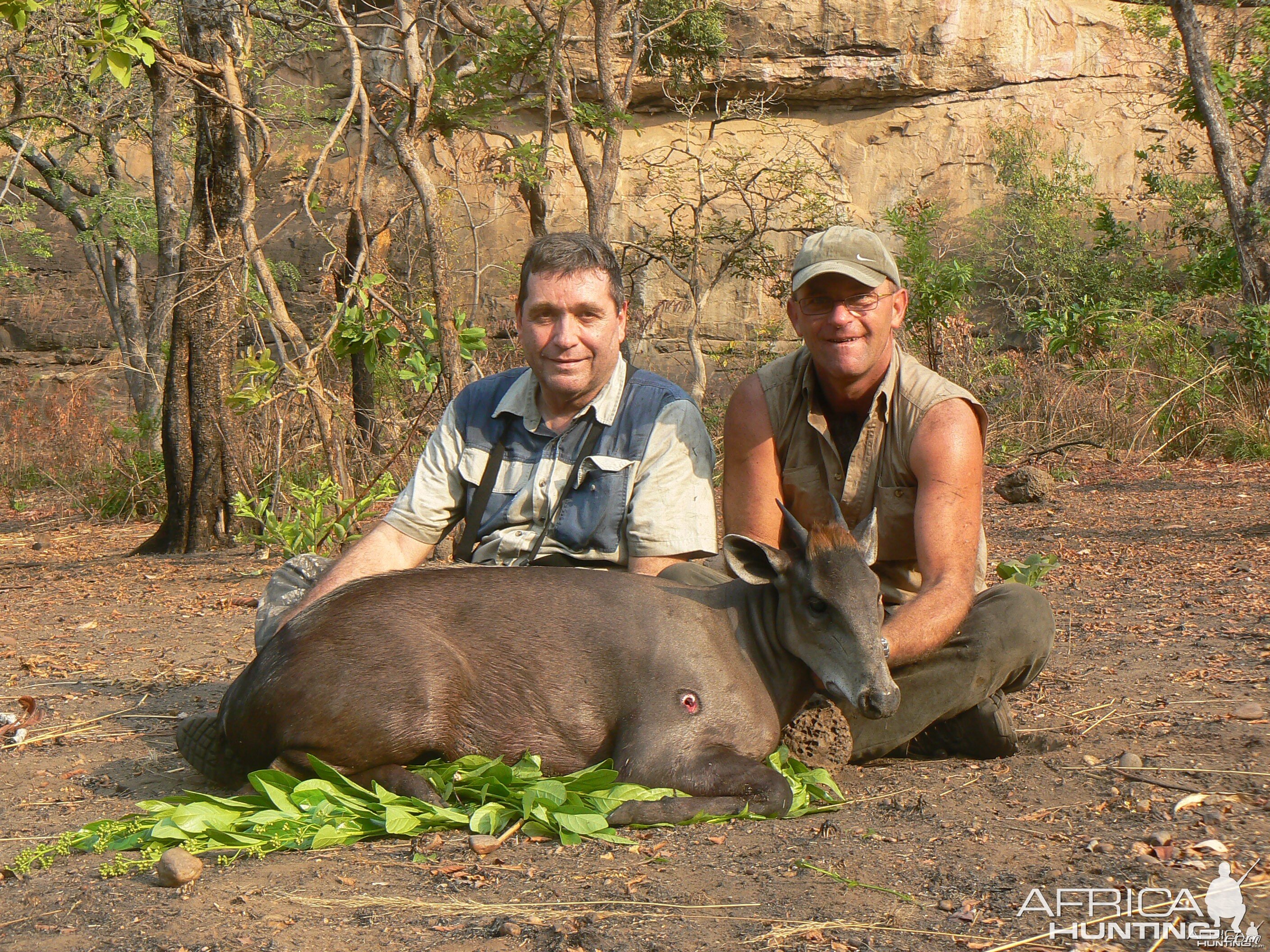 Hunting Yellow Back Duiker in CAR