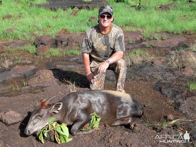 Hunting Yellow-backed Duiker Central African Republic