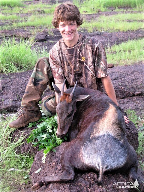 Hunting Yellow-backed Duiker Central African Republic