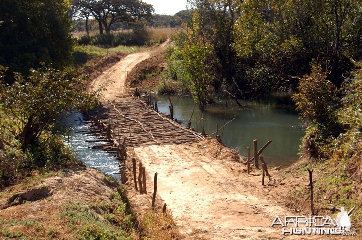 Hunting Zambia