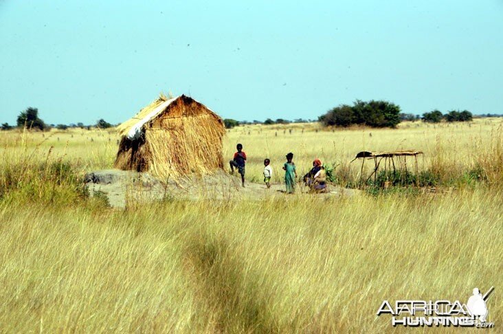 Hunting Zambia