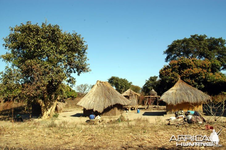 Hunting Zambia