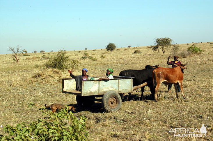 Hunting Zambia