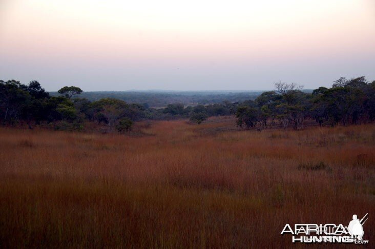 Hunting Zambia