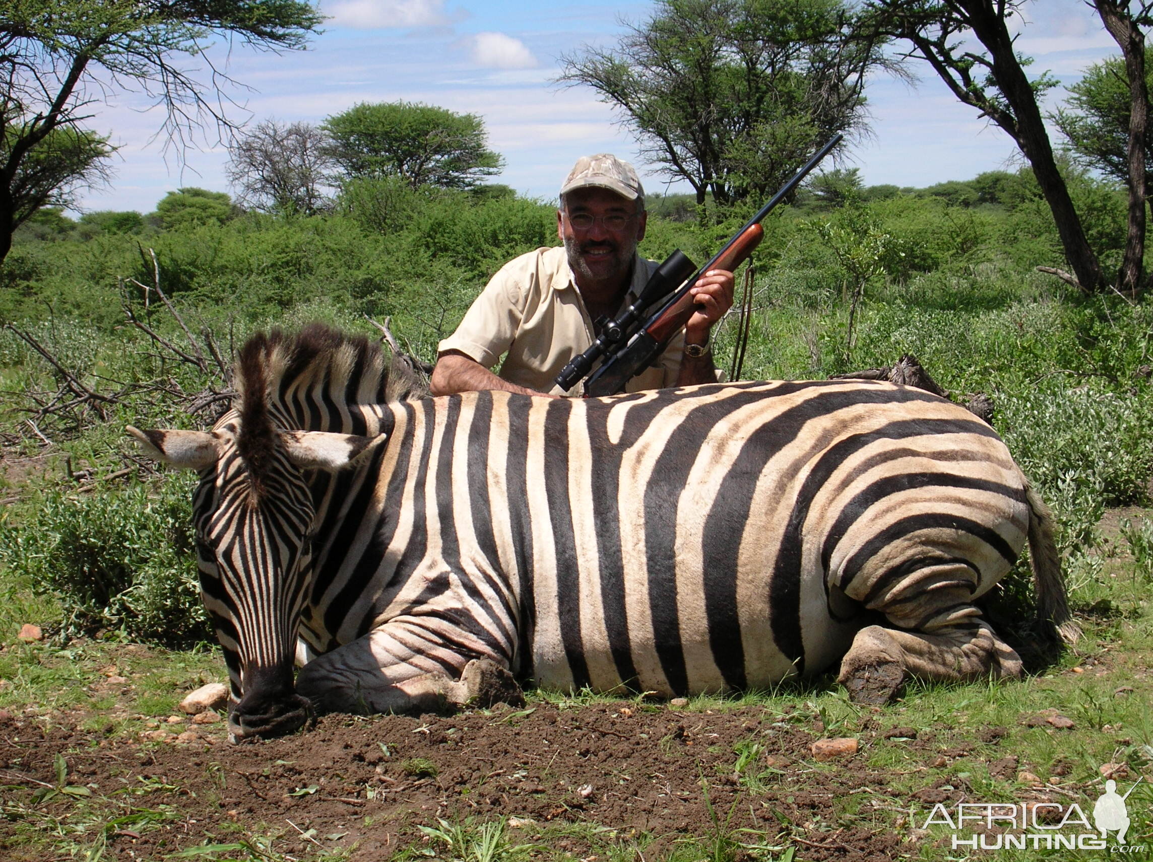 Hunting Zebra in Namibia