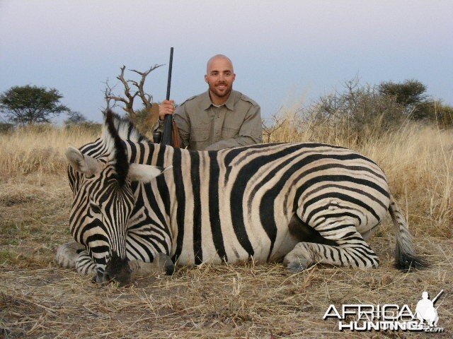 Hunting Zebra in Namibia