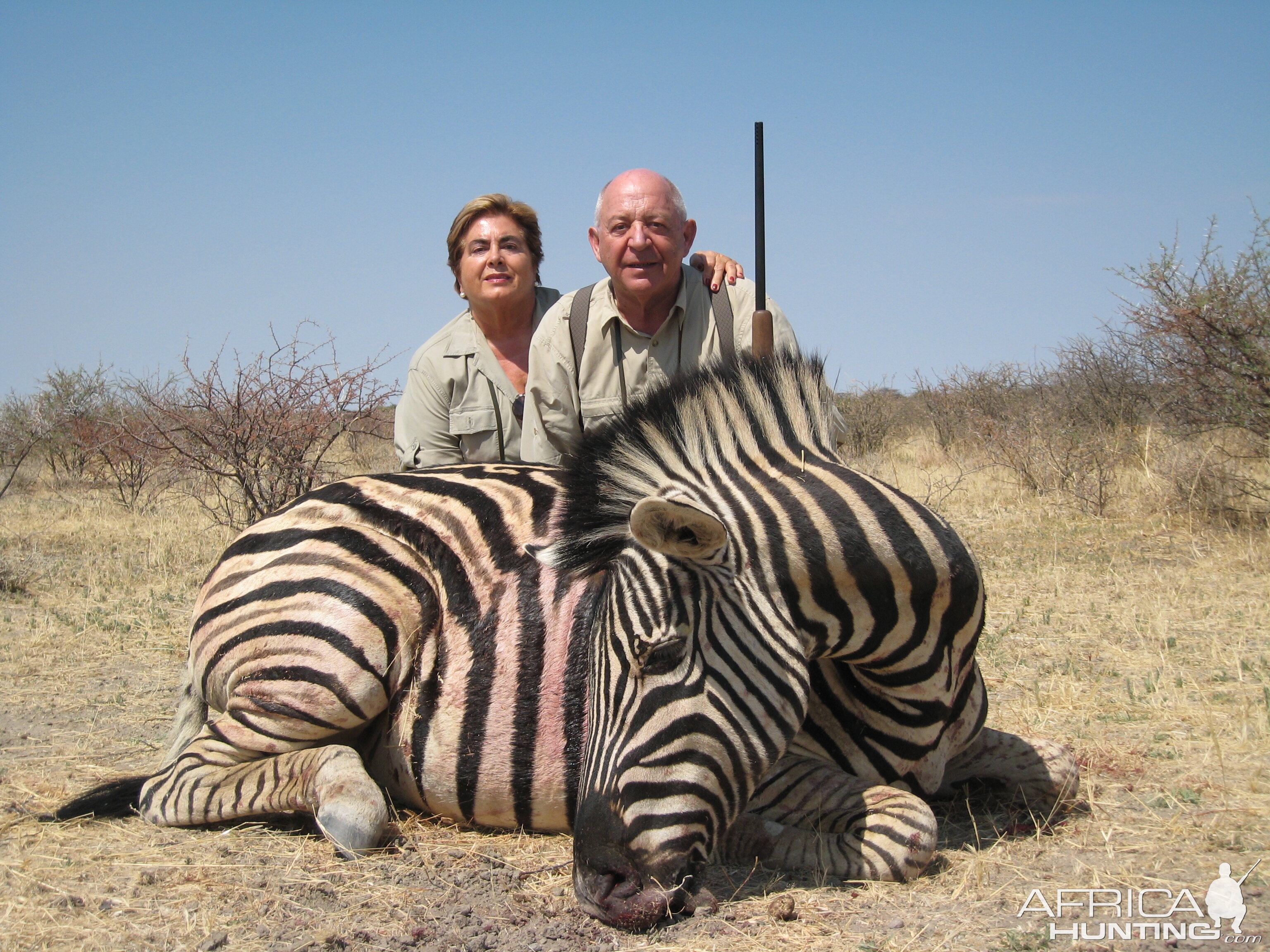 Hunting Zebra in Namibia